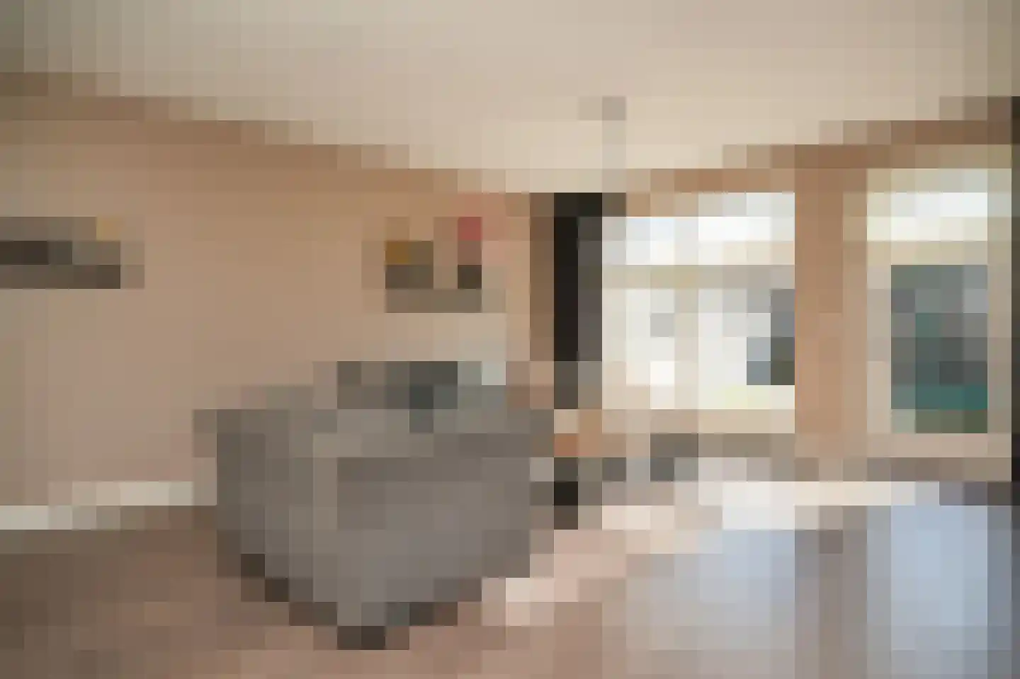Binnenwaard 12 Wijk en Aalburg thumbnail 5