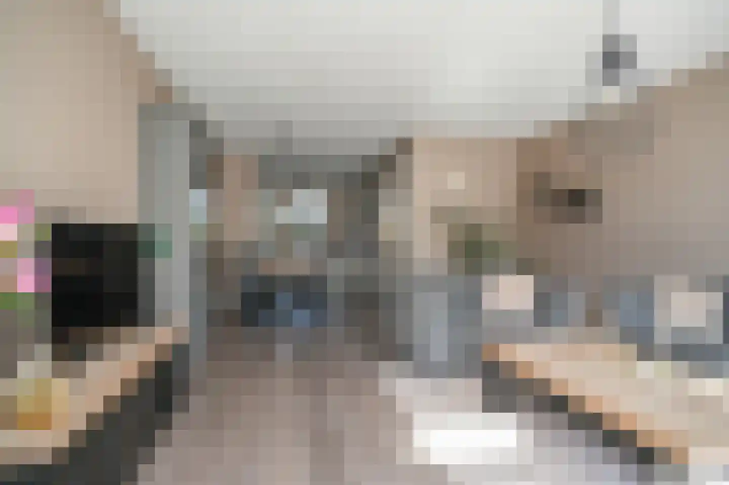 Binnenwaard 12 Wijk en Aalburg thumbnail 6