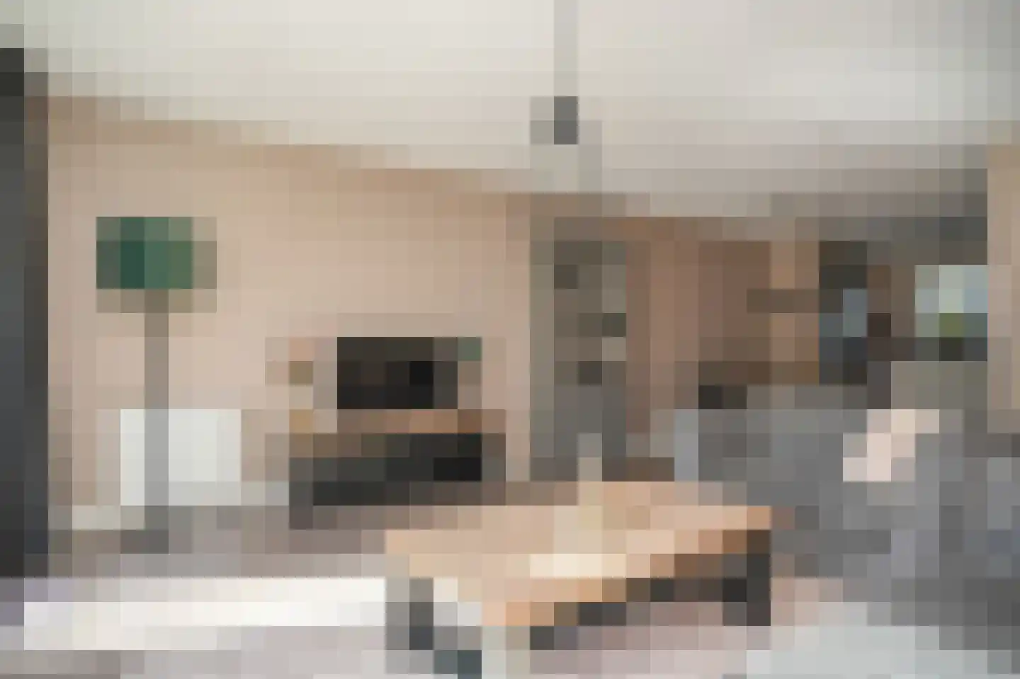 Binnenwaard 12 Wijk en Aalburg thumbnail 9