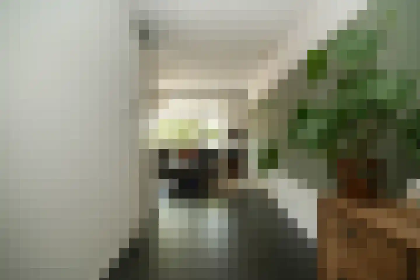 Binnenwaard 2 Wijk en Aalburg thumbnail 12