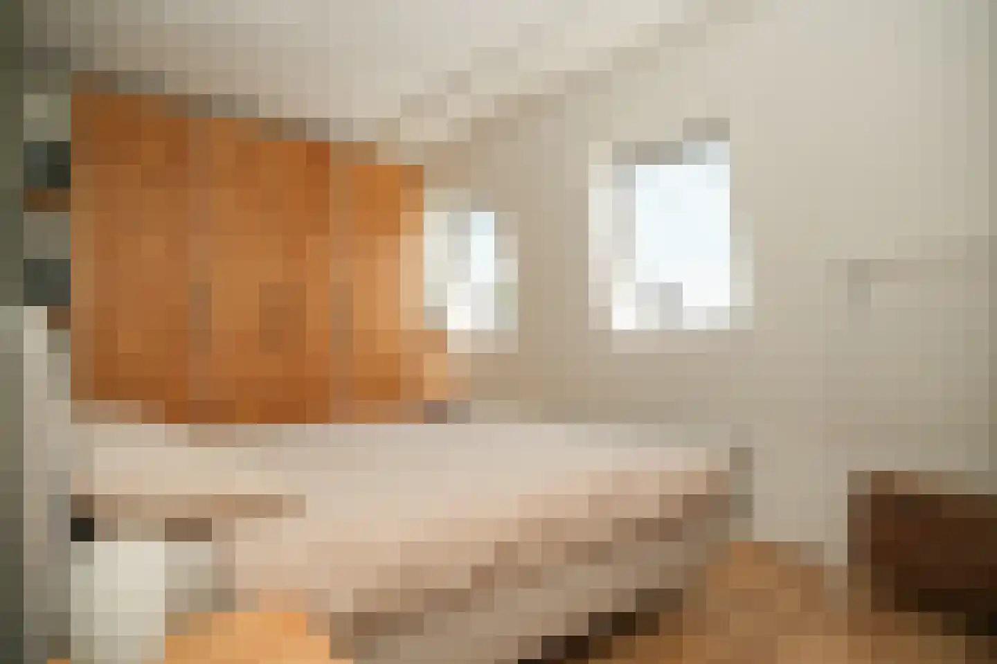 Binnenwaard 2 Wijk en Aalburg thumbnail 17