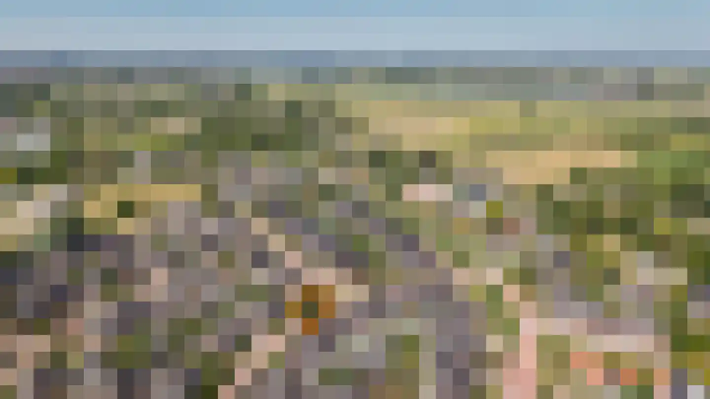 Binnenwaard 2 Wijk en Aalburg thumbnail 35