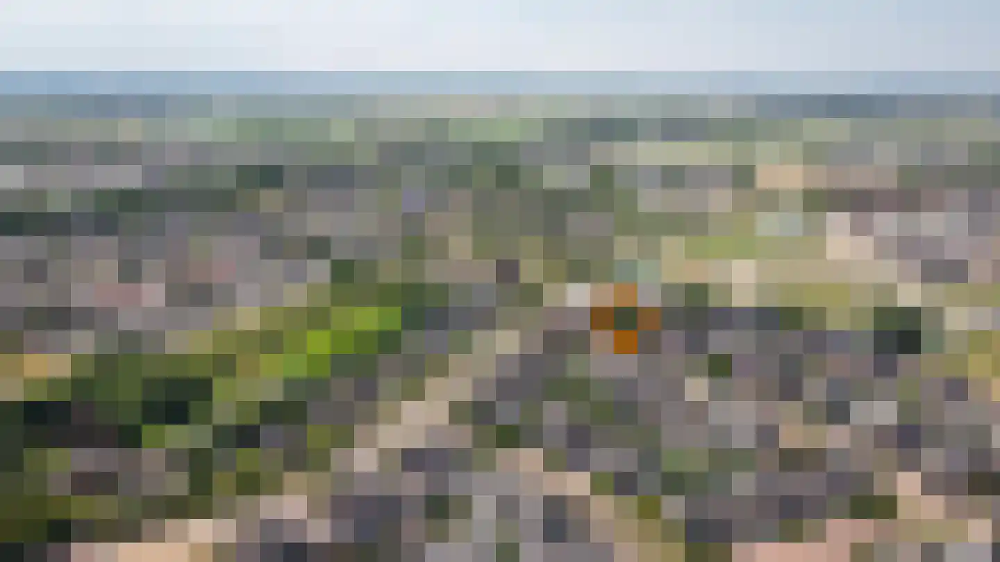 Binnenwaard 2 Wijk en Aalburg thumbnail 36