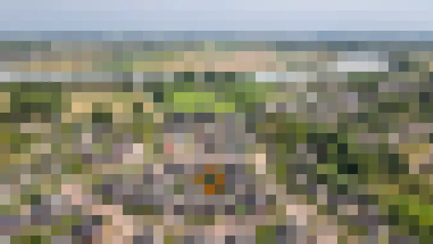 Binnenwaard 2 Wijk en Aalburg thumbnail 37