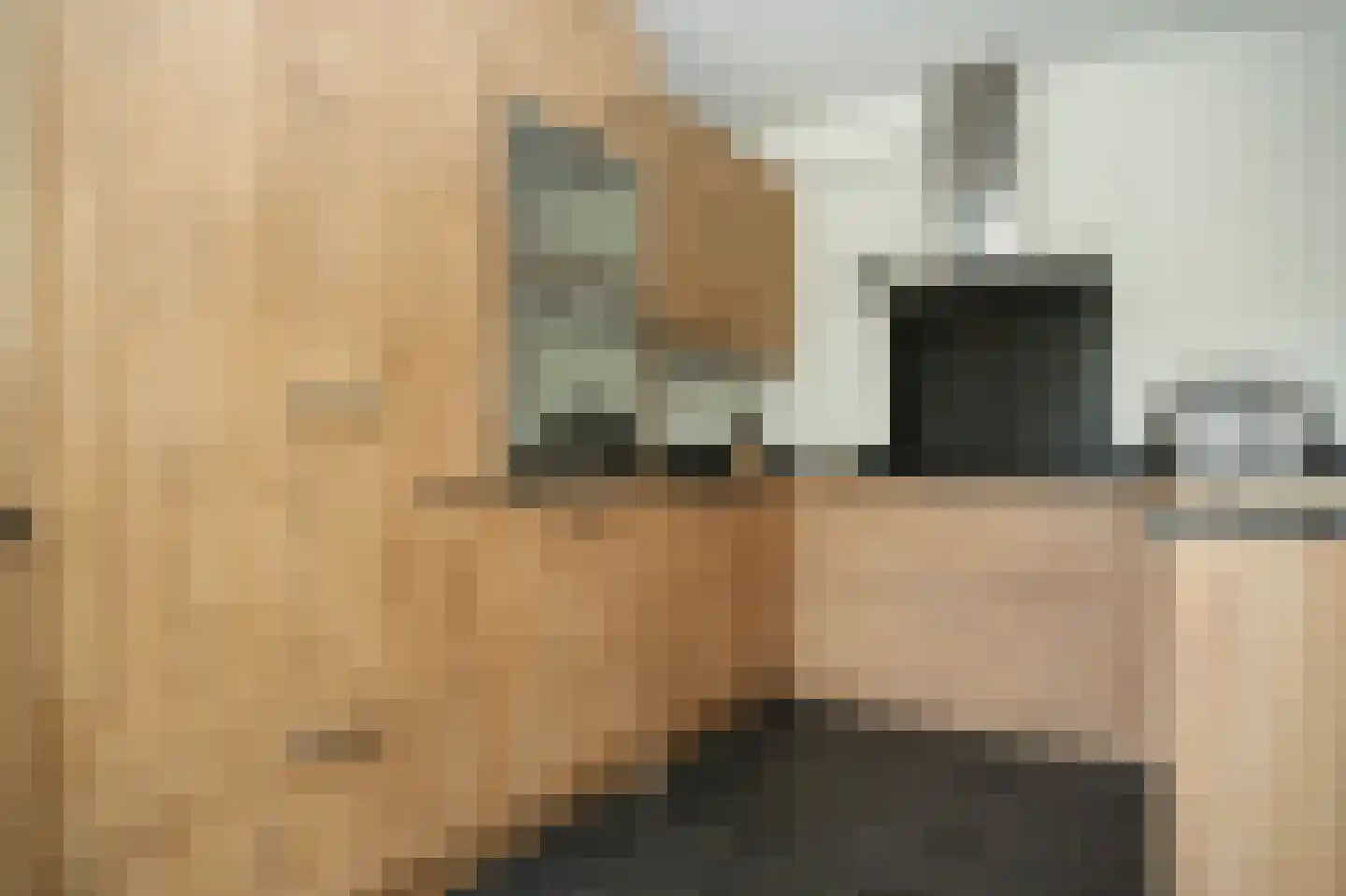 Binnenwaard 2 Wijk en Aalburg thumbnail 8