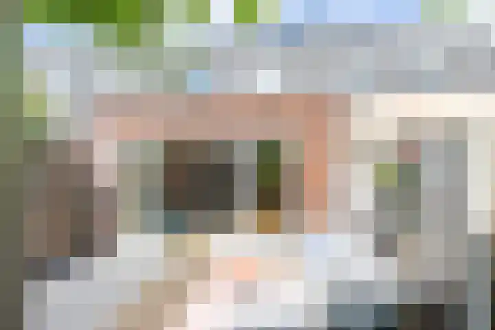 Binnenwaard 22 Wijk en Aalburg thumbnail 4