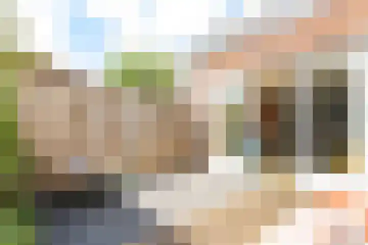 Binnenwaard 22 Wijk en Aalburg thumbnail 42