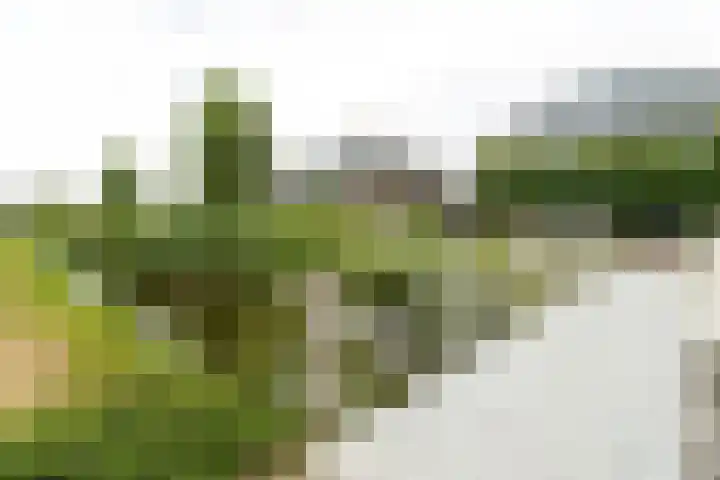 Binnenwaard 22 Wijk en Aalburg thumbnail 49