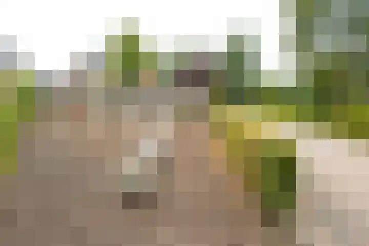 Binnenwaard 22 Wijk en Aalburg thumbnail 50