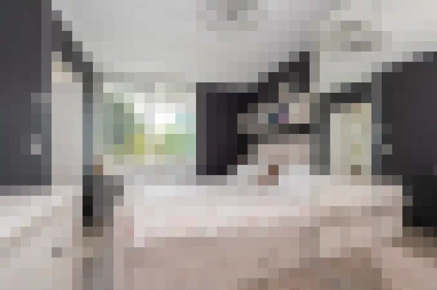 Binnenwater 108 Zoetermeer thumbnail 9