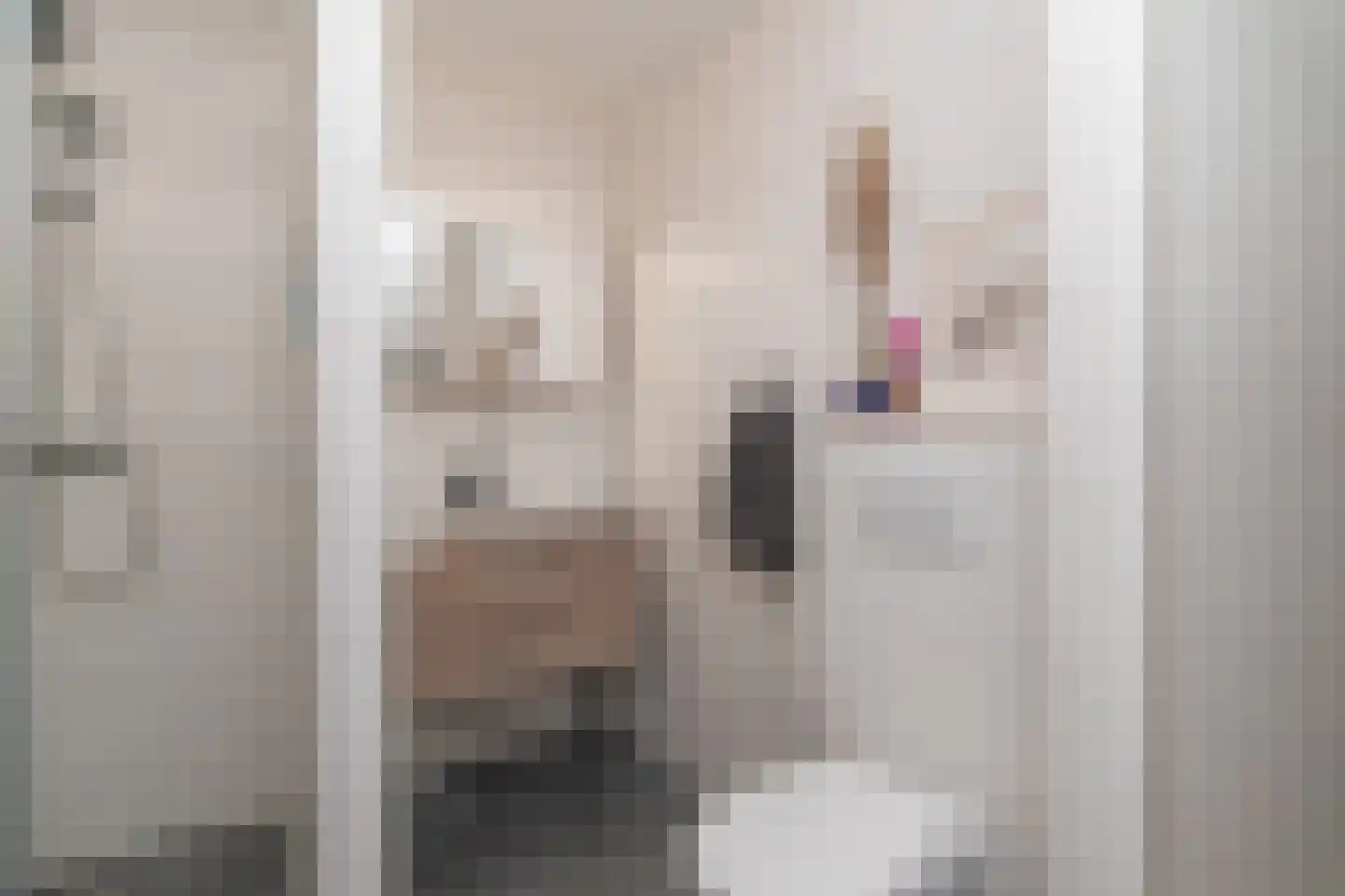 Binnenwater 116 Zoetermeer thumbnail 13