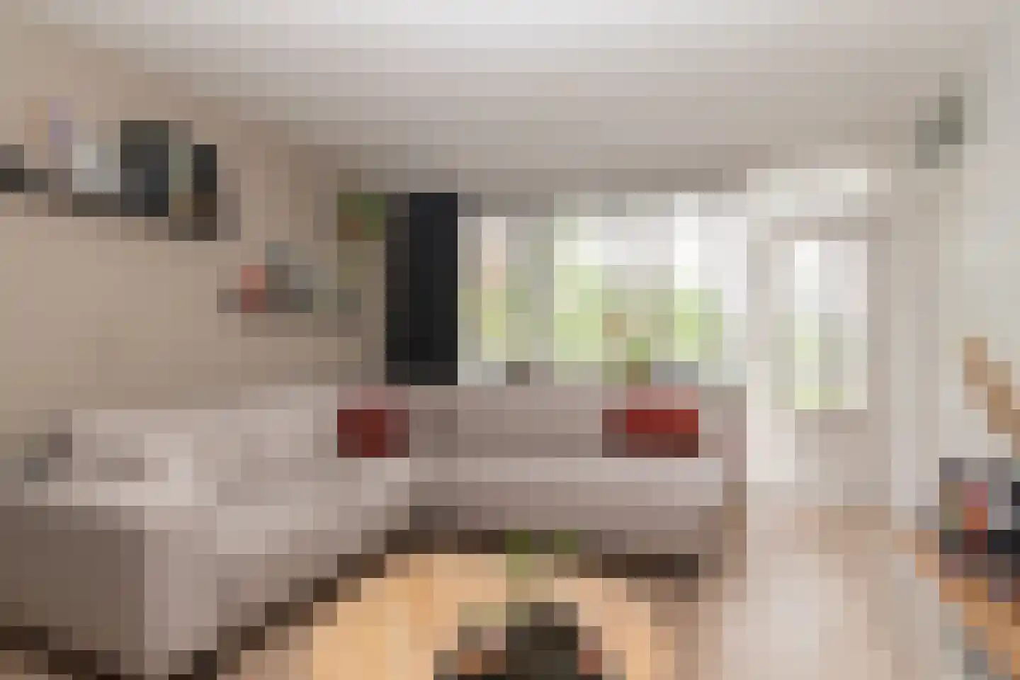 Binnenwater 116 Zoetermeer thumbnail 4