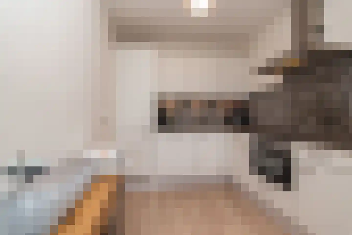 Binnenwater 116 Zoetermeer thumbnail 9