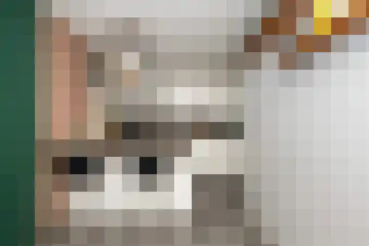 Binnenwater 13 Zoetermeer thumbnail 5