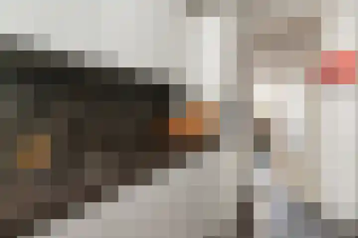 Binnenwater 13 Zoetermeer thumbnail 8