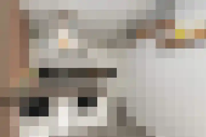 Binnenwater 13 Zoetermeer thumbnail 9