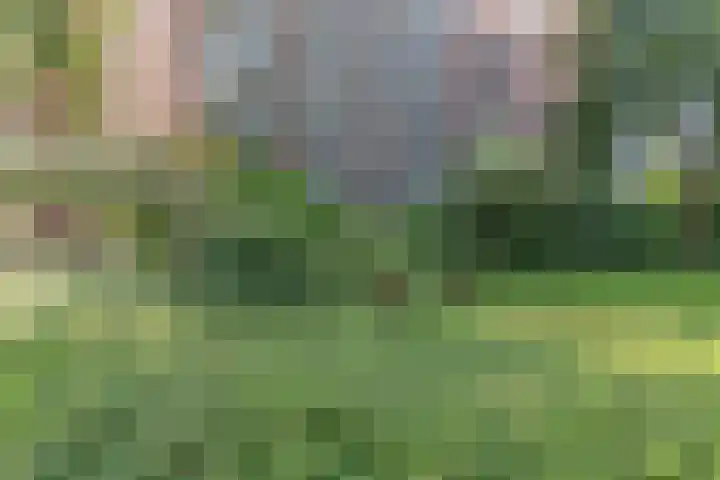 Binnenwater 14 Zoetermeer thumbnail 13