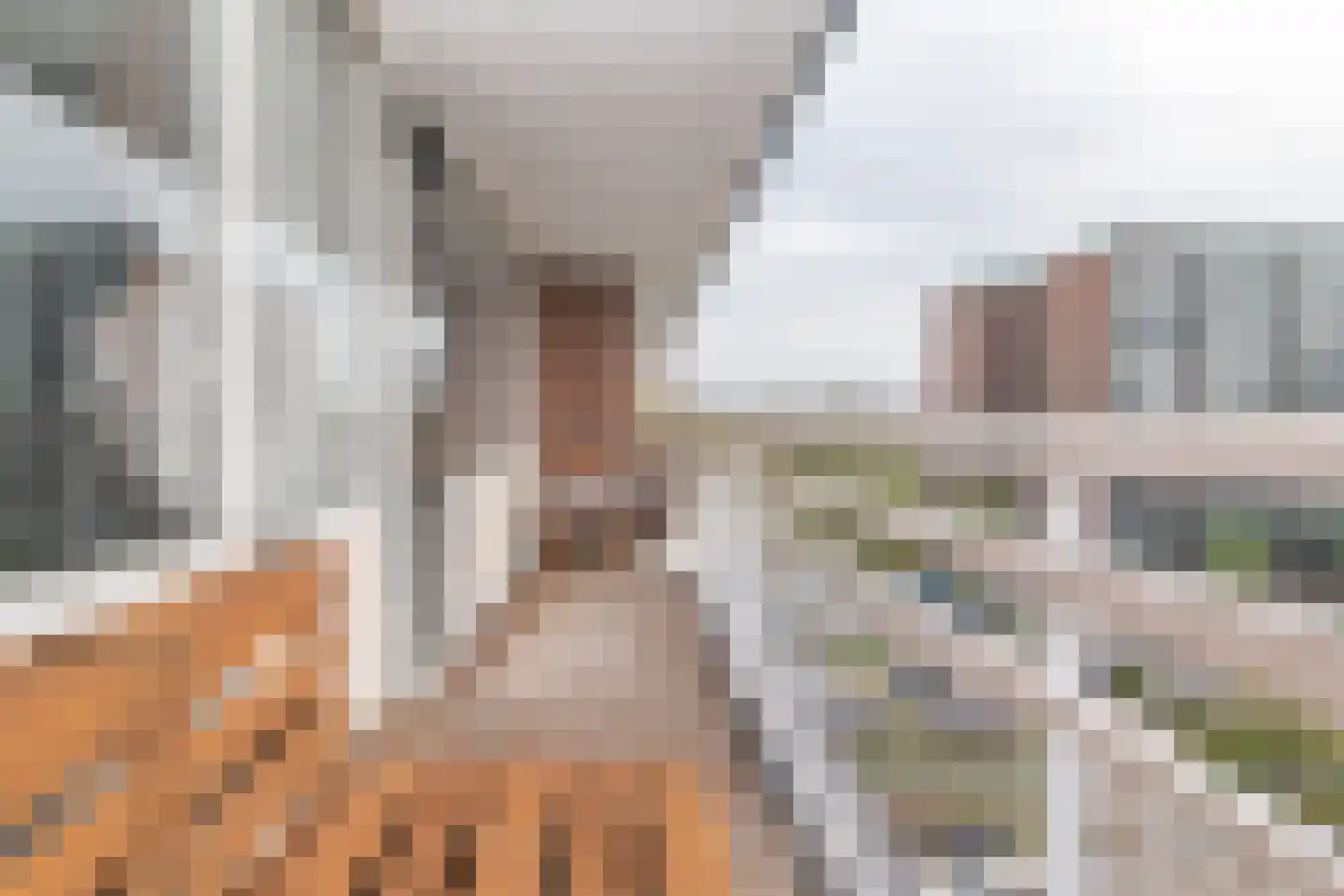 Binnenwater 140 Zoetermeer thumbnail 5