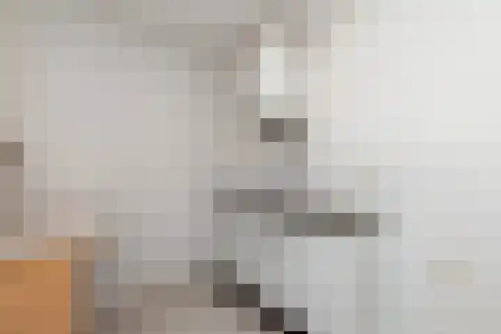 Binnenwater 18 Zoetermeer thumbnail 15