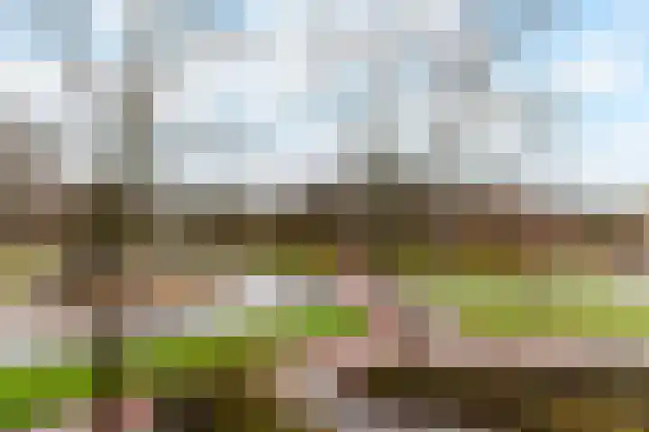 Binnenwater 18 Zoetermeer thumbnail 9