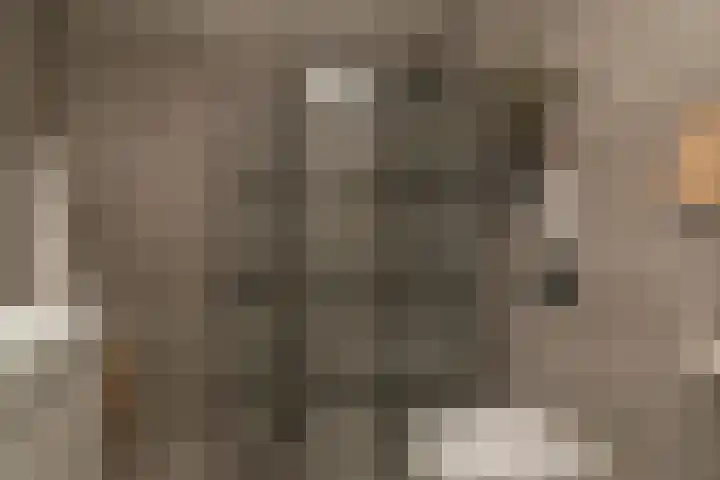 Binnenwater 4 Zoetermeer thumbnail 12