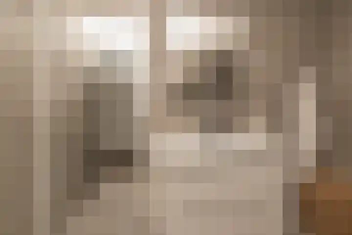 Binnenwater 4 Zoetermeer thumbnail 13