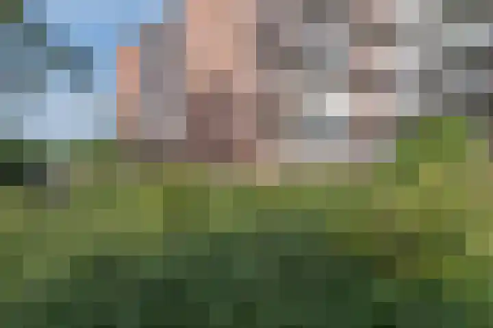 Binnenwater 4 Zoetermeer thumbnail 16
