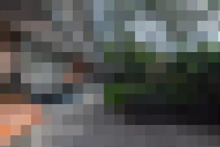 Binnenwater 4 Zoetermeer thumbnail 5