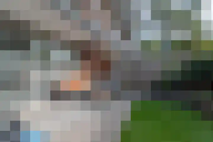 Binnenwater 4 Zoetermeer thumbnail 8