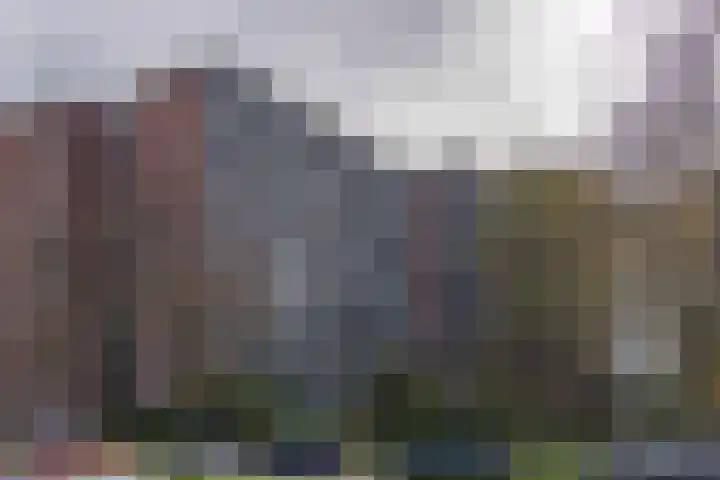 Binnenwater 77 Zoetermeer thumbnail 19