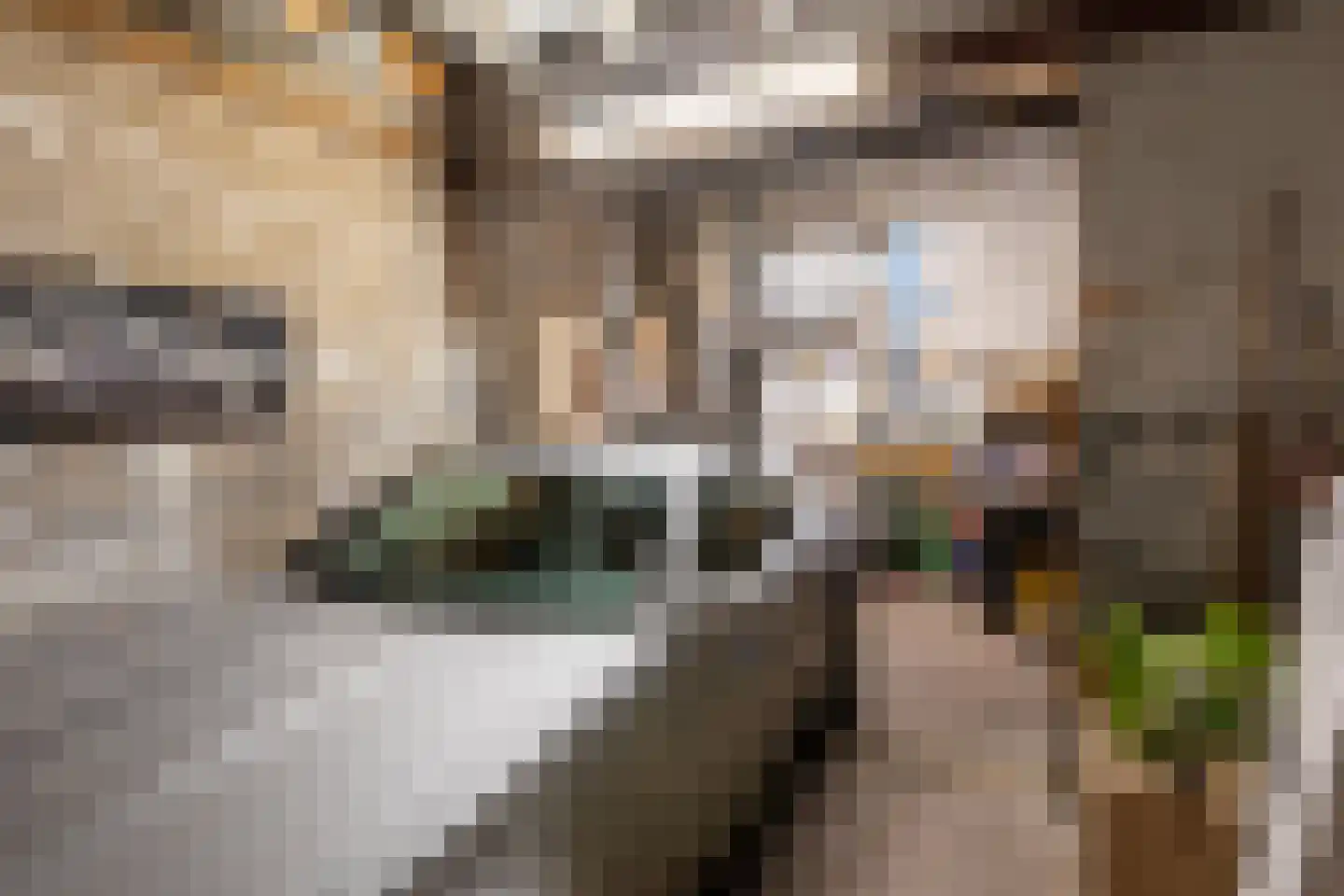 Binnenwatersloot 16 Delft thumbnail 15