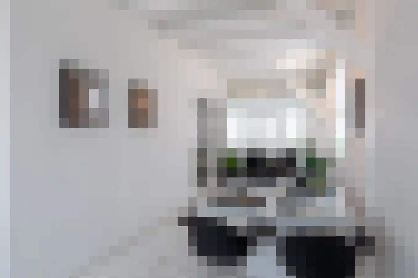 Binnenwatersloot 16 Delft thumbnail 33