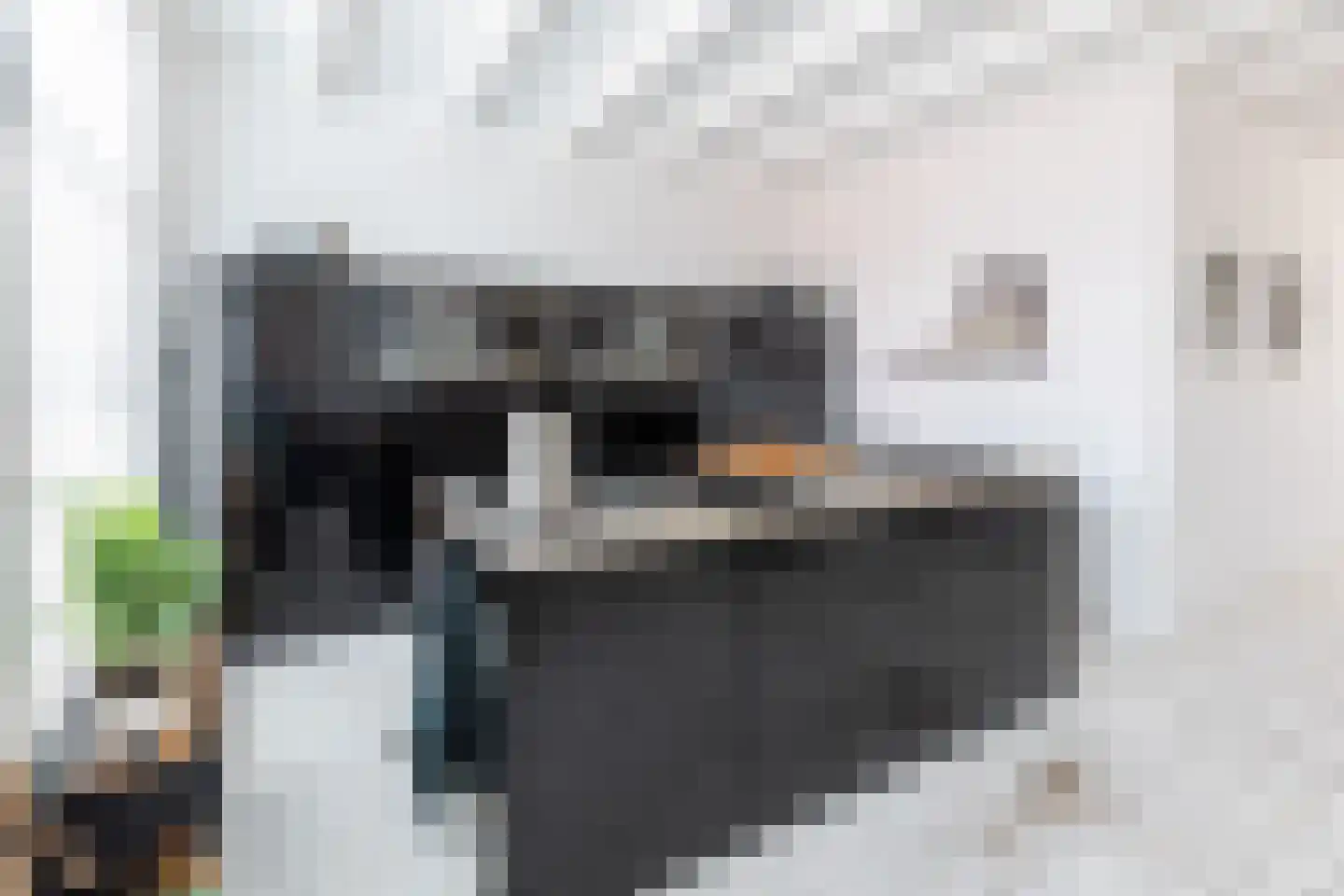 Binnenwatersloot 16 Delft thumbnail 36