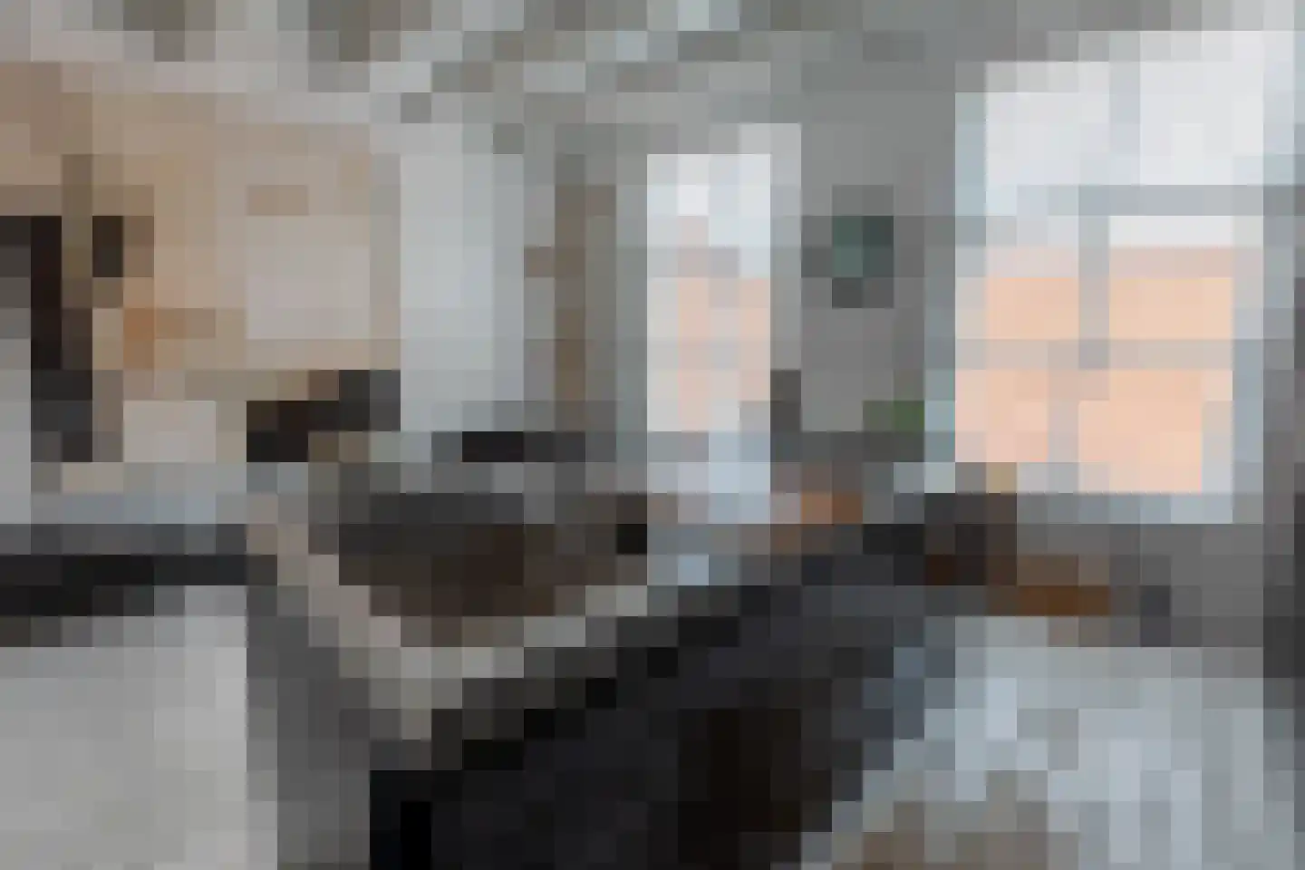 Binnenwatersloot 16 Delft thumbnail 38