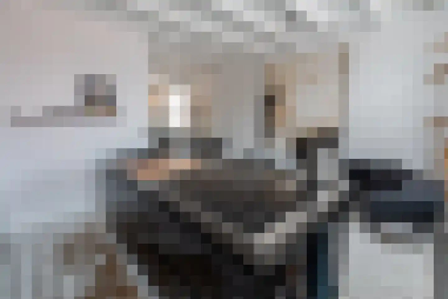 Binnenwatersloot 16 Delft thumbnail 39