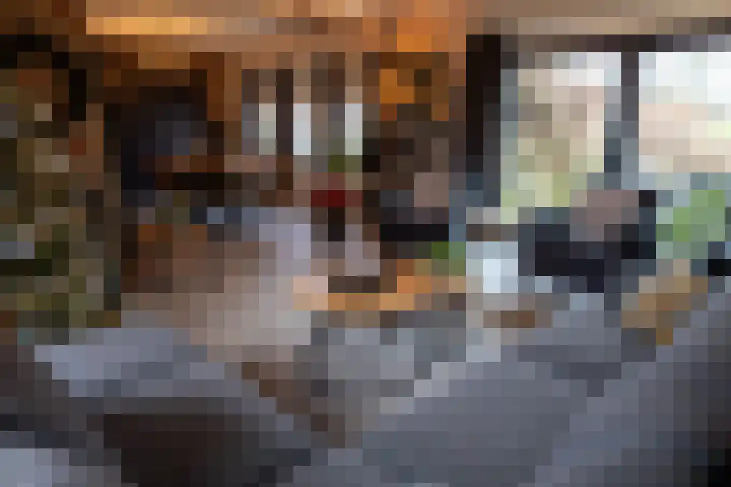 Binnenweg 1 Aardenburg thumbnail 11