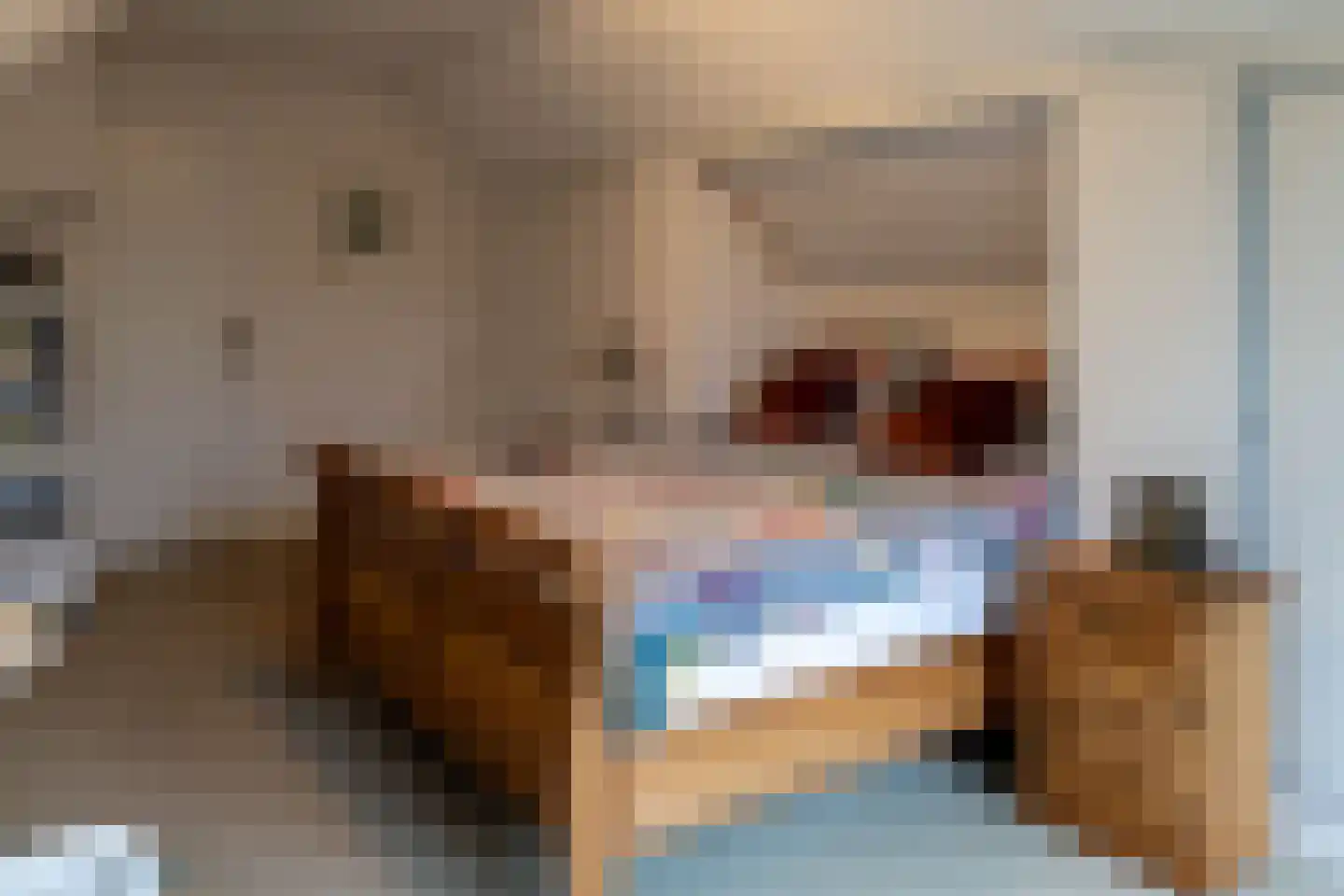 Binnenweg 1 Aardenburg thumbnail 19
