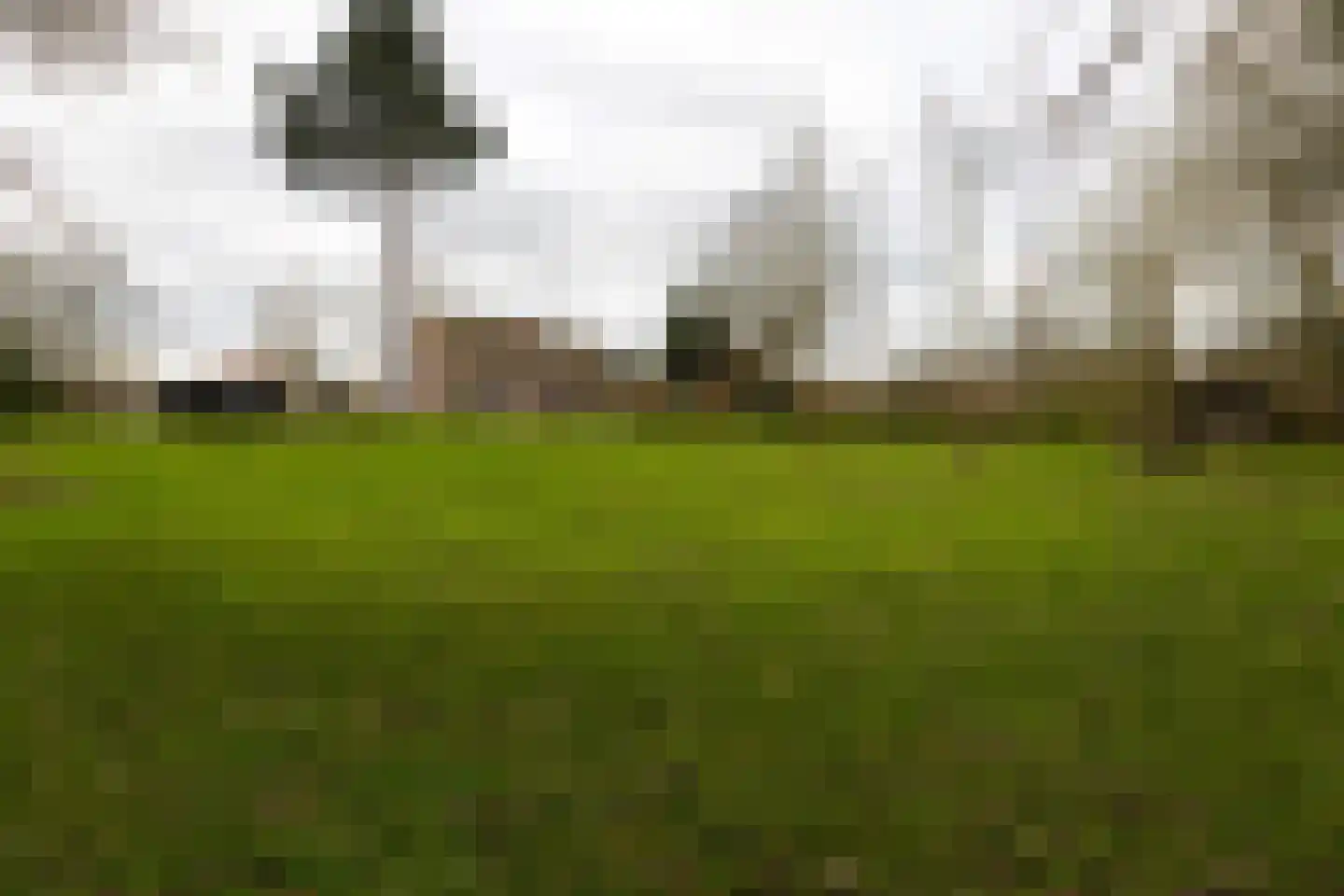 Binnenweg 1 Aardenburg thumbnail 31
