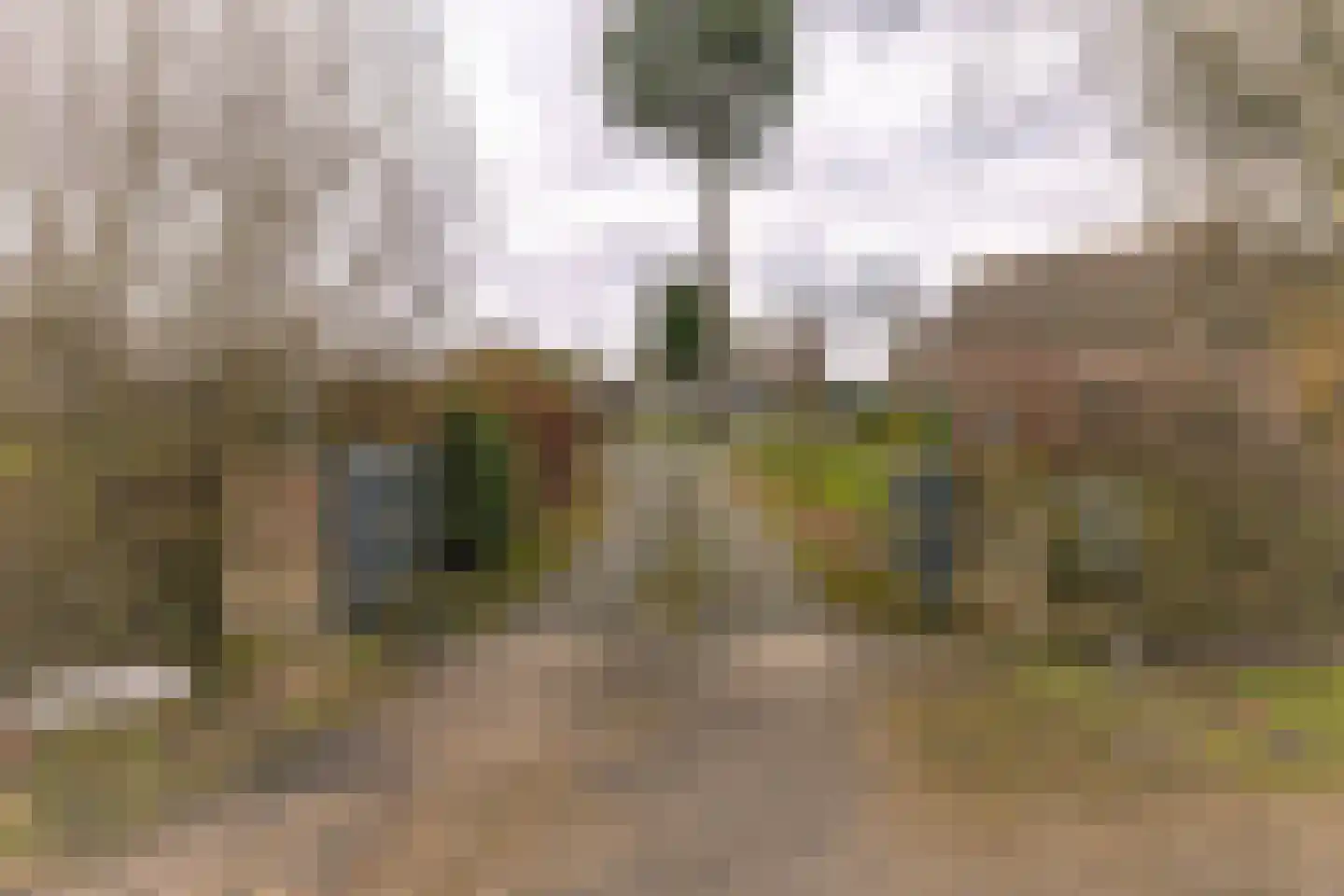 Binnenweg 1 Aardenburg thumbnail 36