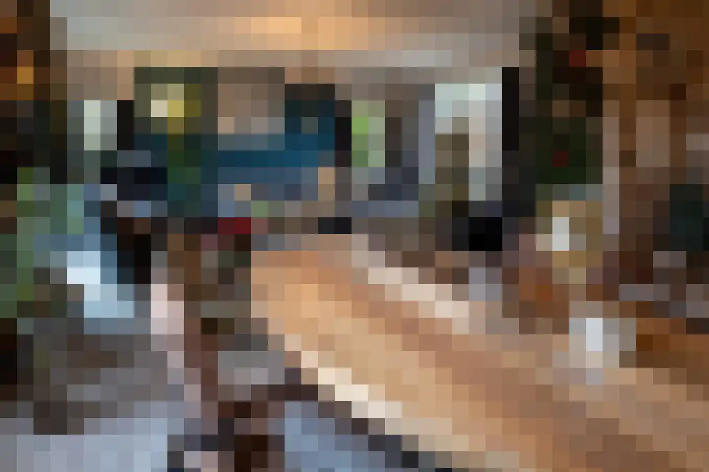Binnenweg 1 Aardenburg thumbnail 8
