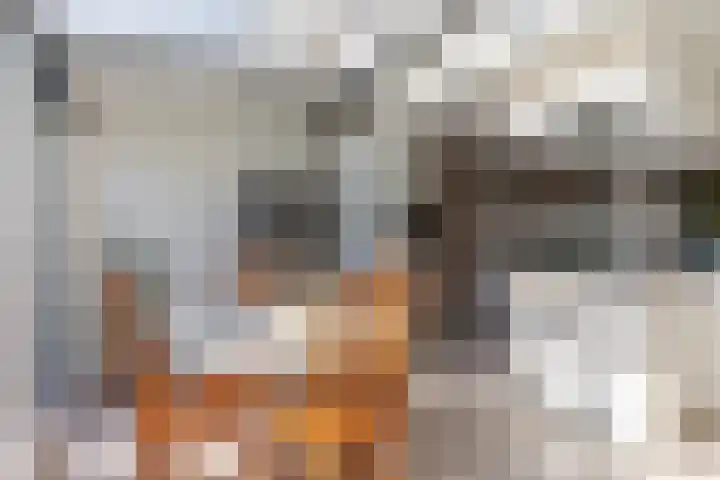 Binnenweg 1 Maasbracht thumbnail 12