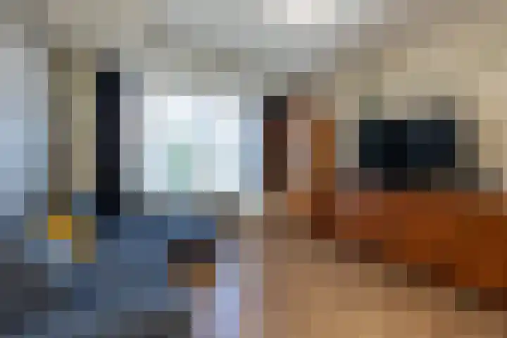 Binnenweg 1 Maasbracht thumbnail 18