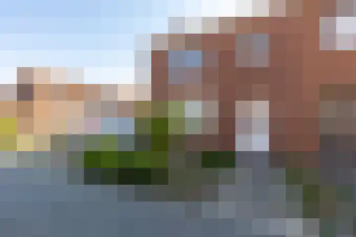 Binnenweg 1 Maasbracht foto 2