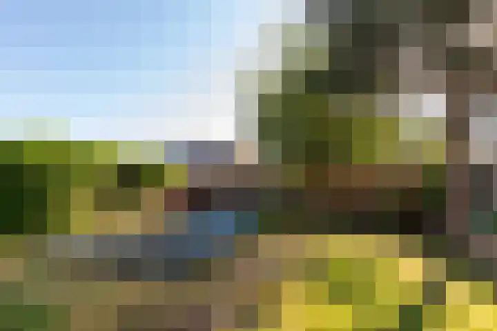 Binnenweg 1 Maasbracht thumbnail 21