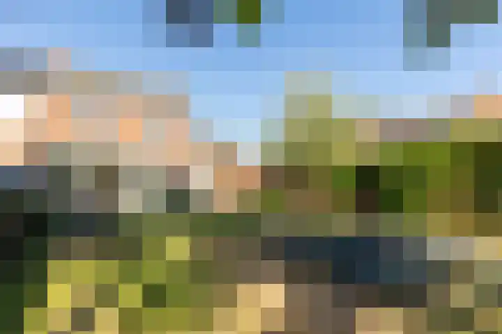Binnenweg 1 Maasbracht thumbnail 22