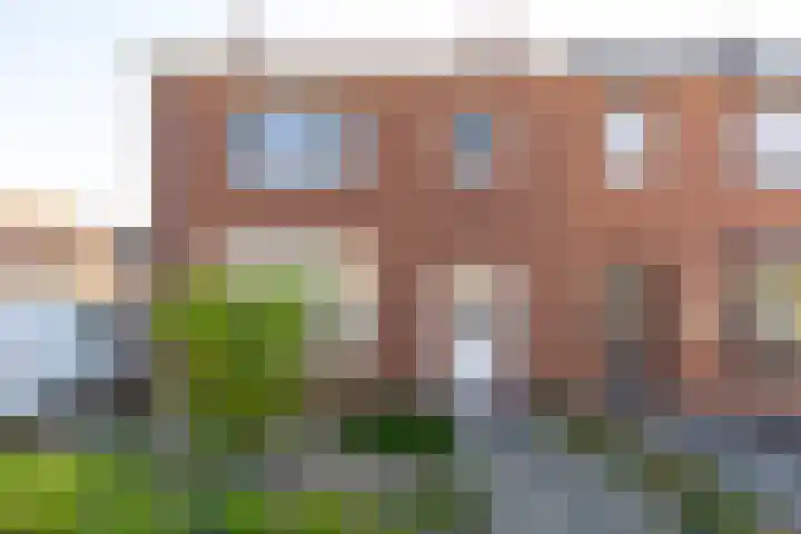 Binnenweg 1 Maasbracht foto 3