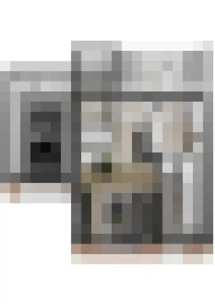 Binnenweg 1 Maasbracht thumbnail 35