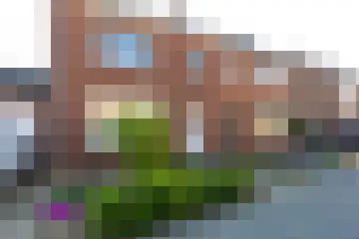 Binnenweg 1 Maasbracht thumbnail 4