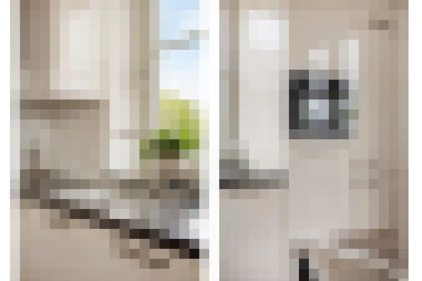 Binnenweg 10 1 Maarssen thumbnail 24