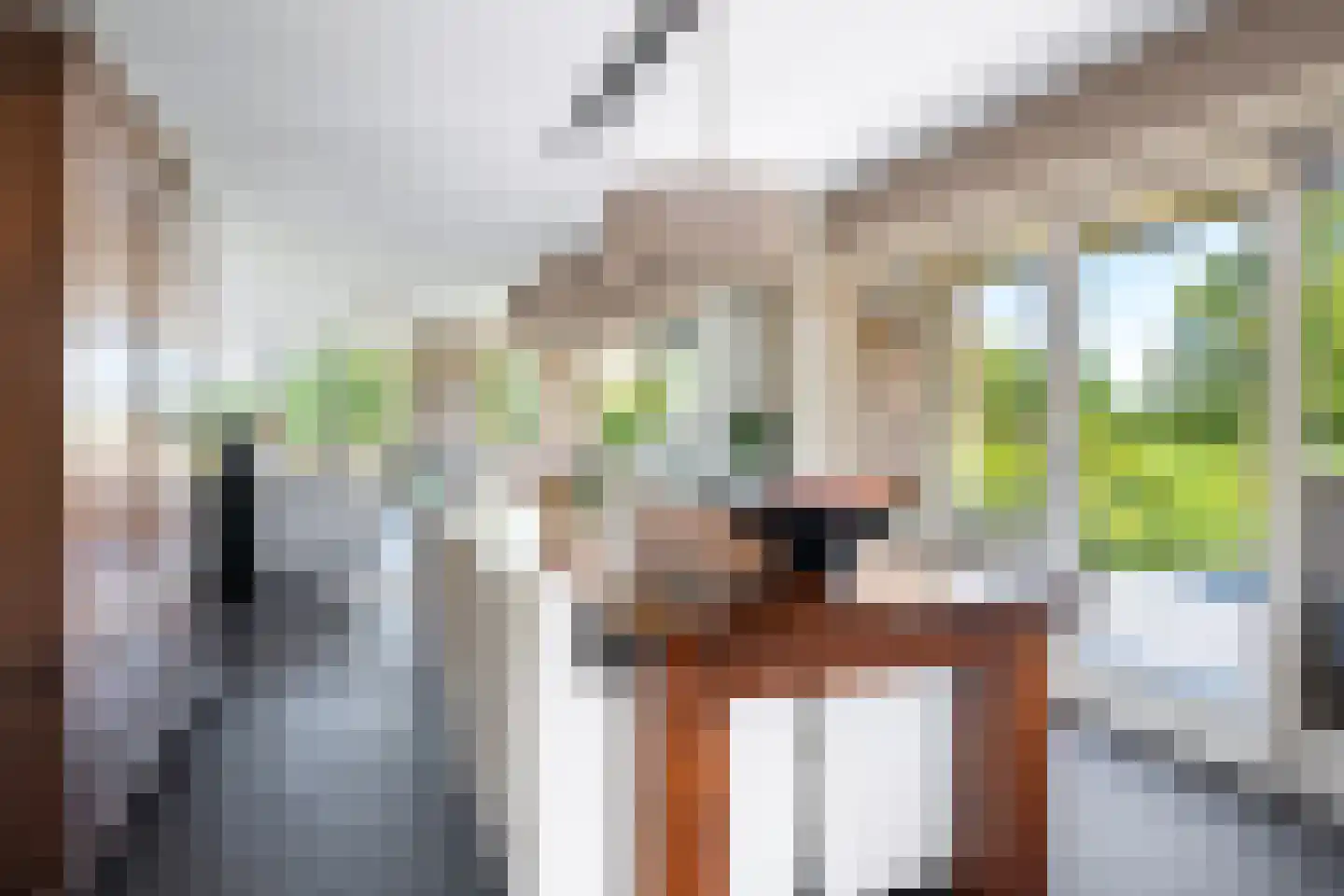 Binnenweg 10 A Nijeholtpade thumbnail 14